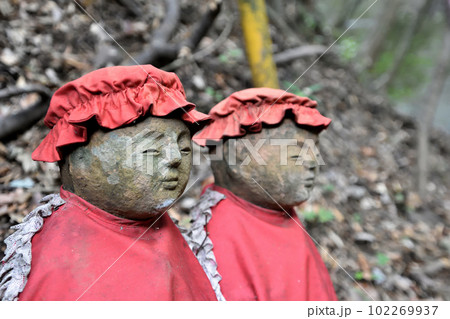 大山阿夫利神社 女坂 大山阿夫利神社 女坂 102269937