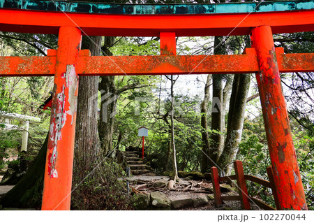 九頭龍神社赤鳥居 102270044
