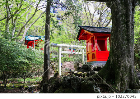 九頭龍神社 102270045