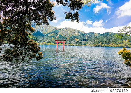 湖面に立つ鳥居 102270159