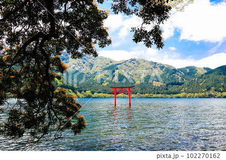 湖面の鳥居 102270162