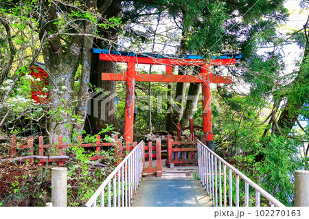九頭龍神社桟橋の鳥居 102270163