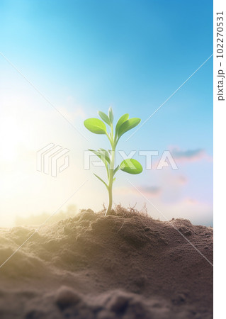 新芽 若木 朝日 希望 エコロジー 農業 102270531