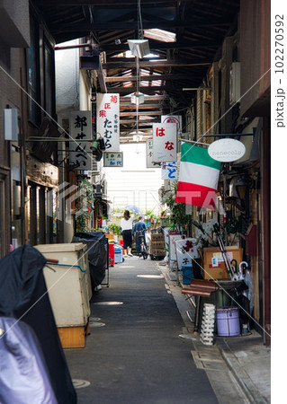 初音小路 102270592