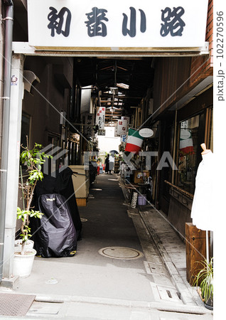 初音小路 102270596