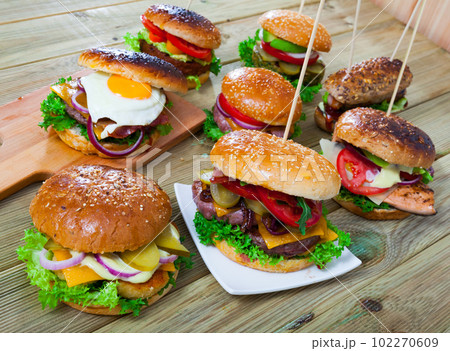 Set of various hamburgers Set of various hamburgers 102270609