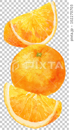 Watercolor illustration of orange vertically arranged cut orange and fruit 102270703