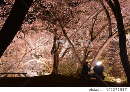 夜桜シルエット 102271957