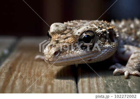 Image of a gecko on the floor. Reptile. illustration, generative AI. 102272002
