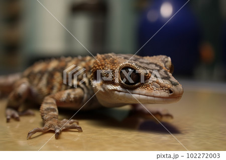 Image of a gecko on the floor. Reptile. illustration, generative AI. 102272003
