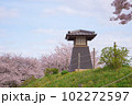 まつばら綾瀬川緑地公園の桜と灯台 102272597
