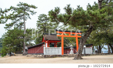 朝の宮島 松に囲まれた清盛神社 広島県 朝の宮島 松に囲まれた清盛神社 広島県 102272914