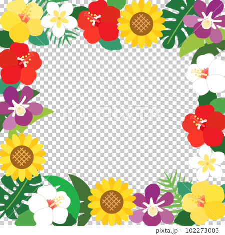 芙蓉、向日葵等夏季花卉的熱帶框架 芙蓉、向日葵等夏季花卉的熱帶框架 102273003