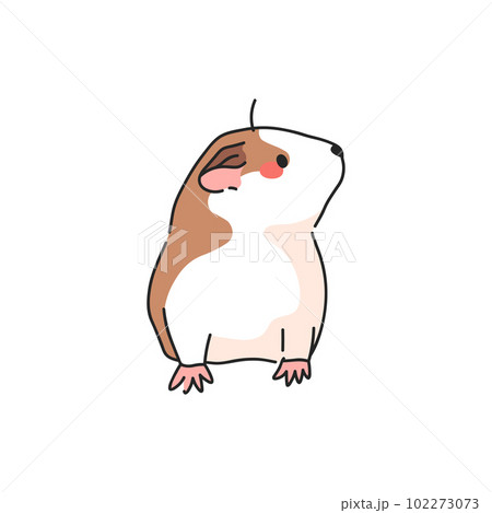 Cute Guinea Pig. Popular Domestic Animal. 102273073