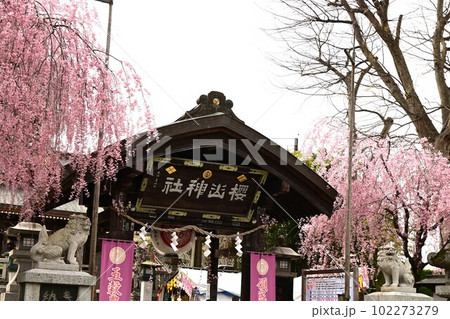 盛岡市桜山神社 盛岡市桜山神社 102273279