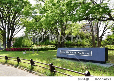 駒沢オリンピック公園の緑地散策路と新緑と駒沢オリンピック公園石碑 102273854