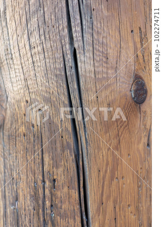 大きな木の柱 大きな木の柱 102274711