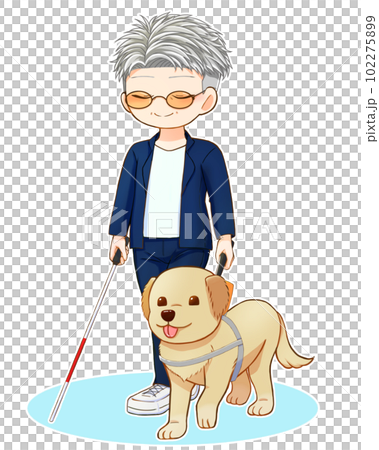 盲導犬を連れて白杖を持っている年配男性 盲導犬を連れて白杖を持っている年配男性 102275899