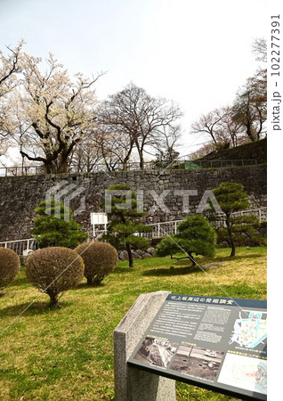 盛岡市岩手公園(盛岡城跡公園)の桜 盛岡市岩手公園(盛岡城跡公園)の桜 102277391