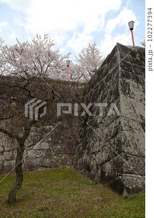 盛岡市岩手公園(盛岡城跡公園）の桜 102277394