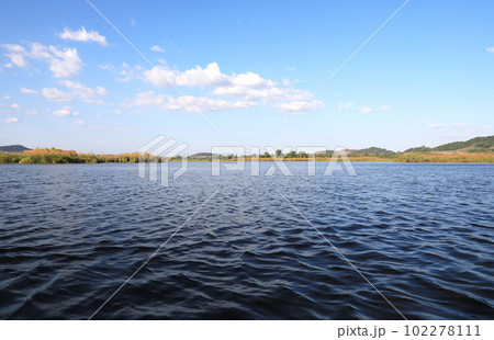 Nature background with coastal reed and shining lake water with blue sky Nature background with coastal reed and shining lake water with blue sky 102278111