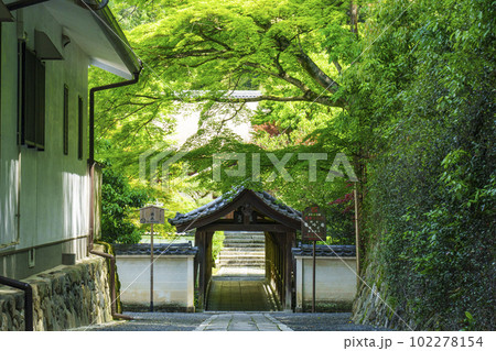 東福寺　偃月橋　新緑の季節（京都市東山区） 102278154