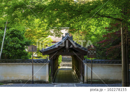 東福寺 偃月橋 新緑の季節(京都市東山区) 東福寺 偃月橋 新緑の季節(京都市東山区) 102278155