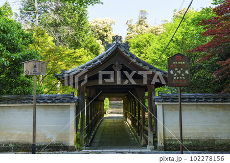 東福寺塔頭　臥雲山即宗院　偃月橋　新緑の季節（京都市東山区） 102278156