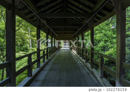 東福寺　偃月橋　新緑の季節（京都市東山区） 102278159