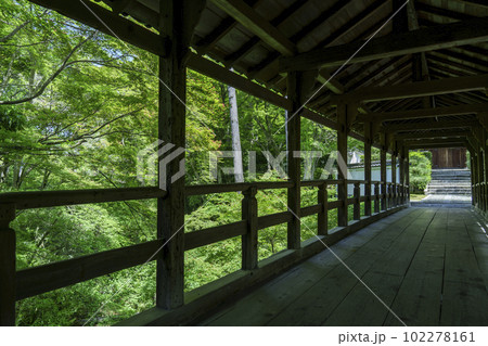 東福寺 偃月橋 新緑の季節(京都市東山区) 東福寺 偃月橋 新緑の季節(京都市東山区) 102278161