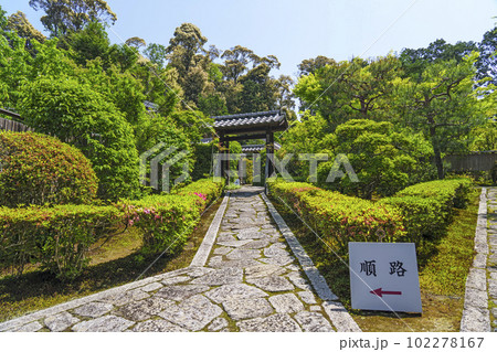 東福寺塔頭　臥雲山即宗院　月輪殿庭園　新緑の季節（京都市東山区） 102278167