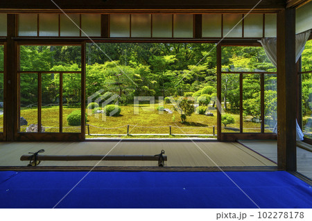 臥雲山即宗院　額縁庭園　新緑の季節（京都市東山区） 102278178