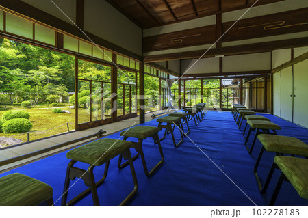 臥雲山即宗院　庭園　新緑の季節（京都市東山区） 102278183