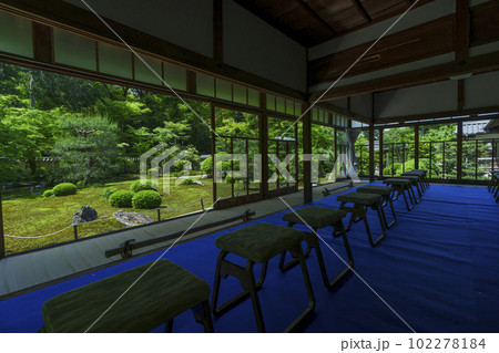 臥雲山即宗院 庭園 新緑の季節(京都市東山区) 臥雲山即宗院 庭園 新緑の季節(京都市東山区) 102278184