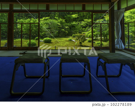 臥雲山即宗院 庭園 新緑の季節(京都市東山区) 臥雲山即宗院 庭園 新緑の季節(京都市東山区) 102278189