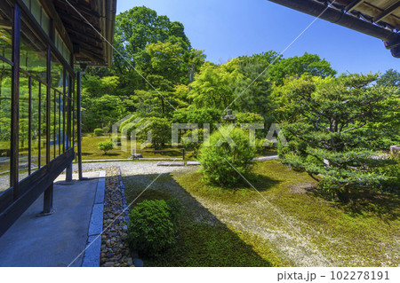 臥雲山即宗院 庭園 新緑の季節(京都市東山区) 臥雲山即宗院 庭園 新緑の季節(京都市東山区) 102278191