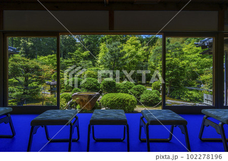 臥雲山即宗院　額縁庭園　新緑の季節（京都市東山区） 102278196