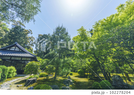 臥雲山即宗院 庭園 新緑の季節(京都市東山区) 臥雲山即宗院 庭園 新緑の季節(京都市東山区) 102278204