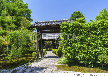 東福寺塔頭　臥雲山即宗院　山門　新緑の季節（京都市東山区） 102278205