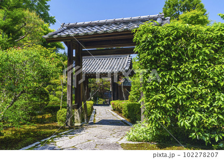 東福寺塔頭　臥雲山即宗院　山門　新緑の季節（京都市東山区） 102278207