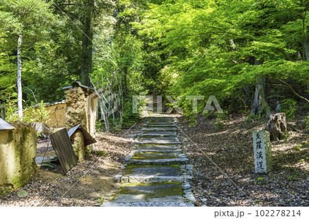 東福寺塔頭 即宗院 至羅漢道 採薪亭跡 西郷隆盛密議の地周辺 東福寺塔頭 即宗院 至羅漢道 採薪亭跡 西郷隆盛密議の地周辺 102278214