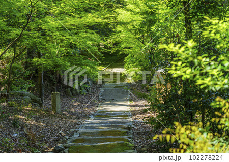 東福寺塔頭 即宗院 至羅漢道 東福寺塔頭 即宗院 至羅漢道 102278224