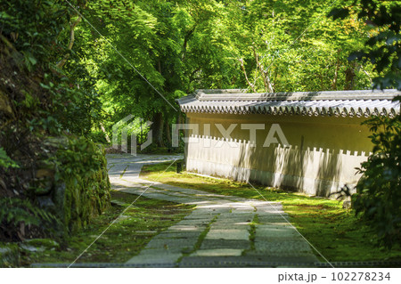 東福寺塔頭 臥雲山即宗院 境内の奥へと進む 新緑の季節(京都市東山区) 東福寺塔頭 臥雲山即宗院 境内の奥へと進む 新緑の季節(京都市東山区) 102278234