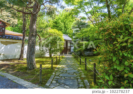 東福寺塔頭 龍吟庵 門 新緑の季節(京都市東山区) 東福寺塔頭 龍吟庵 門 新緑の季節(京都市東山区) 102278237