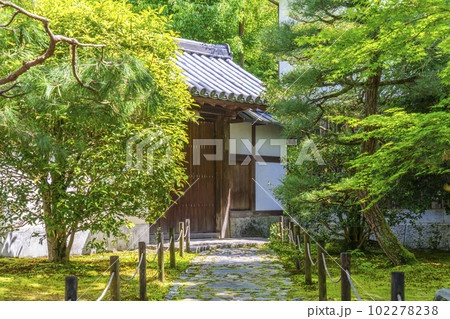 東福寺塔頭 龍吟庵 門 新緑の季節(京都市東山区) 東福寺塔頭 龍吟庵 門 新緑の季節(京都市東山区) 102278238