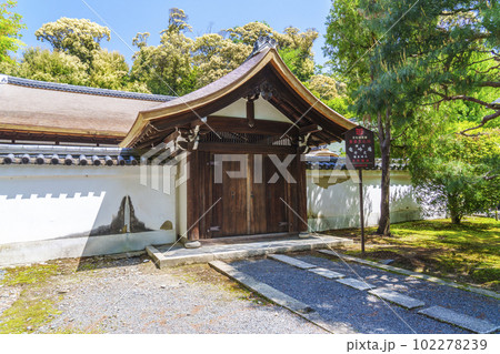 東福寺塔頭 龍吟庵 門 新緑の季節(京都市東山区) 東福寺塔頭 龍吟庵 門 新緑の季節(京都市東山区) 102278239