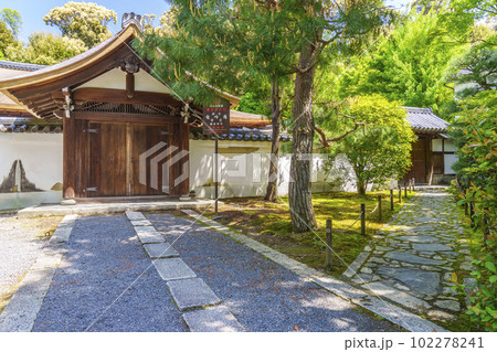 東福寺塔頭　龍吟庵　門　新緑の季節（京都市東山区） 102278241