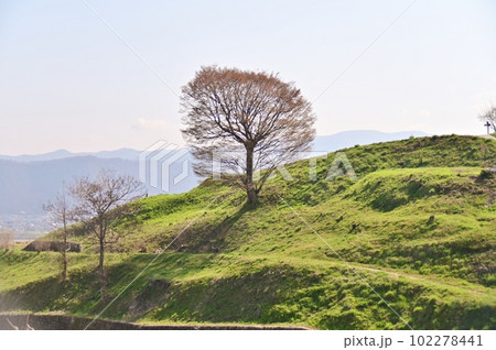 欅の大木が目印の姨捨棚田 102278441