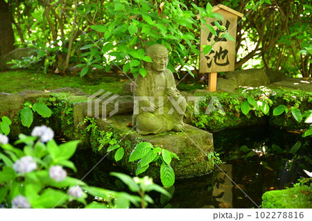 長谷寺 102278816