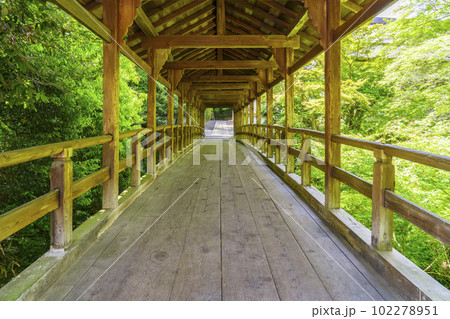東福寺 偃月橋 新緑の季節(京都市東山区) 東福寺 偃月橋 新緑の季節(京都市東山区) 102278951